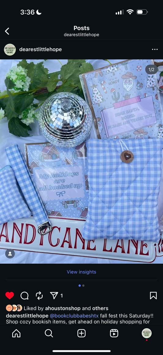 GINGHAM PATTERNS ALL SIZES SLEEVES/POUCHES