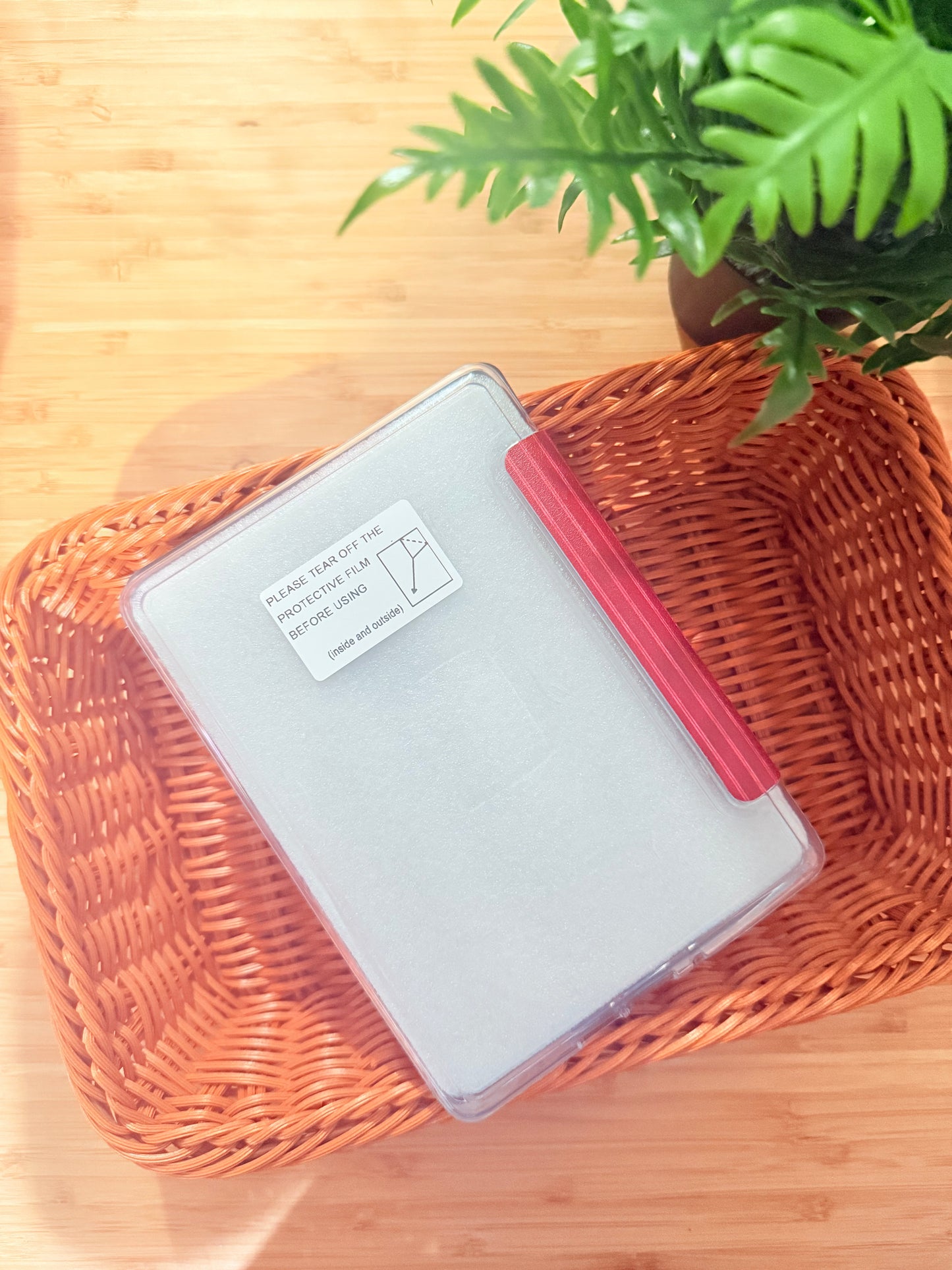 HOT GIRLS READ CLEAR BACK KINDLE CASE