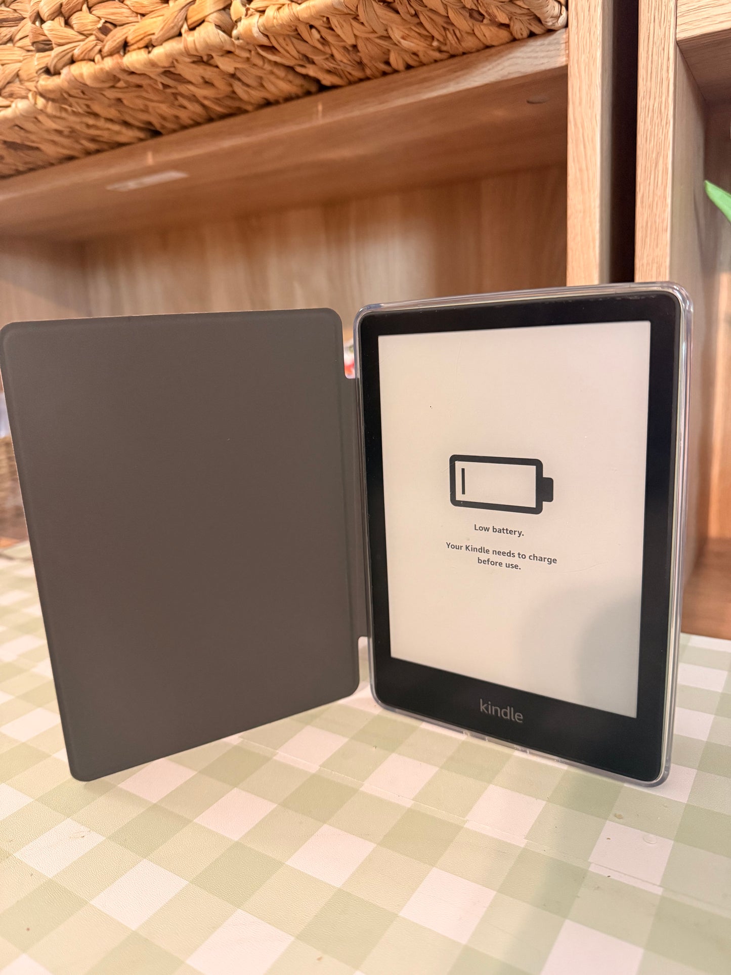 SONNY COWGIRL CLEAR BACK KINDLE CASE